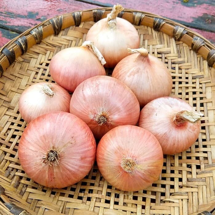 Onion Seed - View 1
