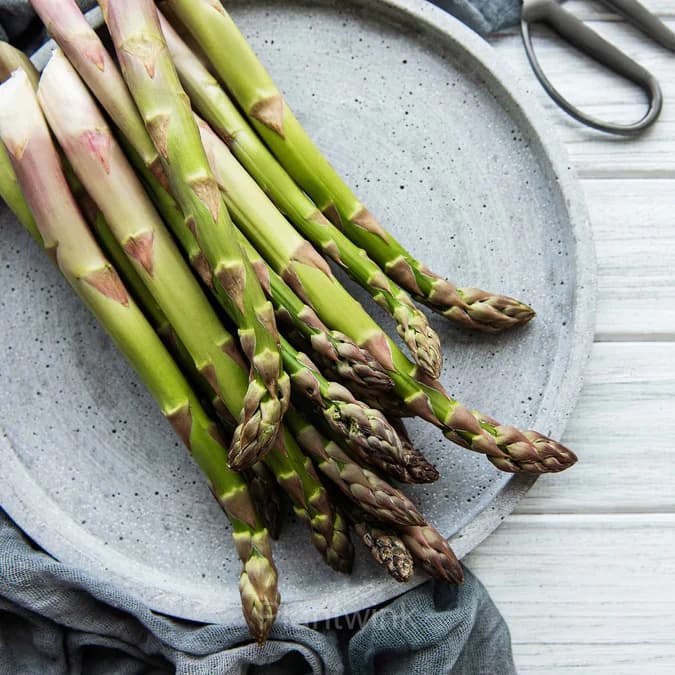 Asparagus Seed - View 3