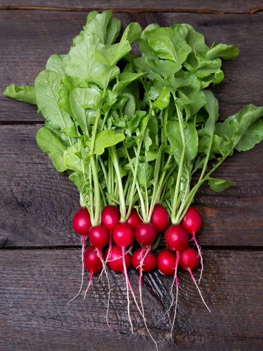 Cherry Belle Radish Seed - View 1