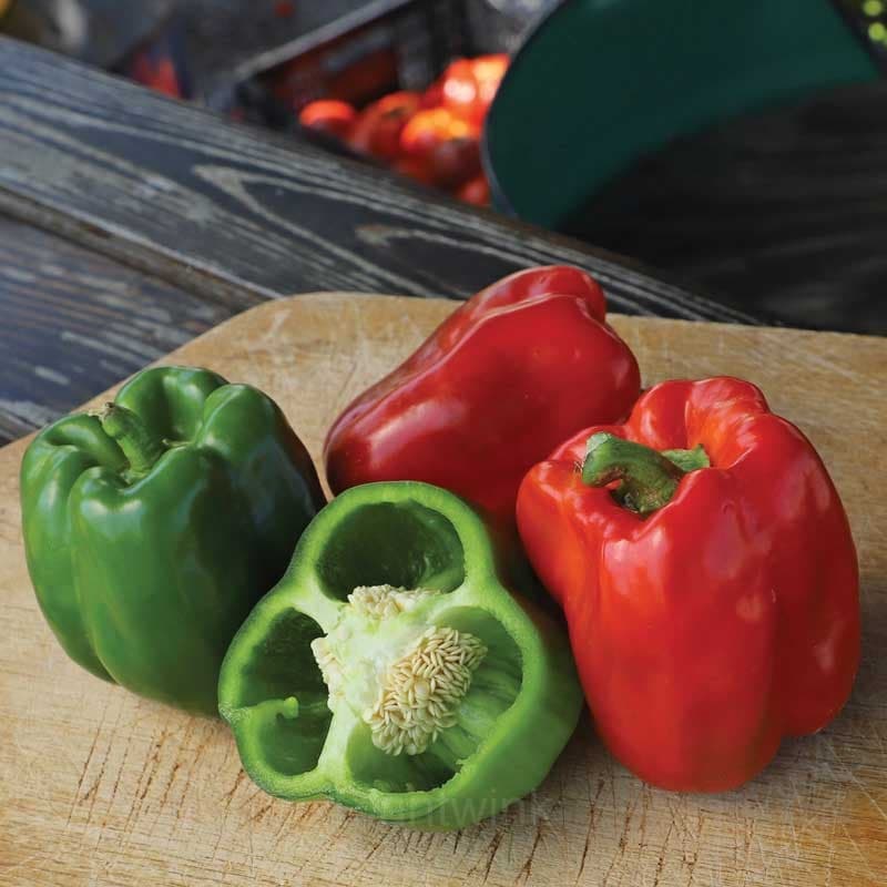 Sweet Pepper Seed - View 1