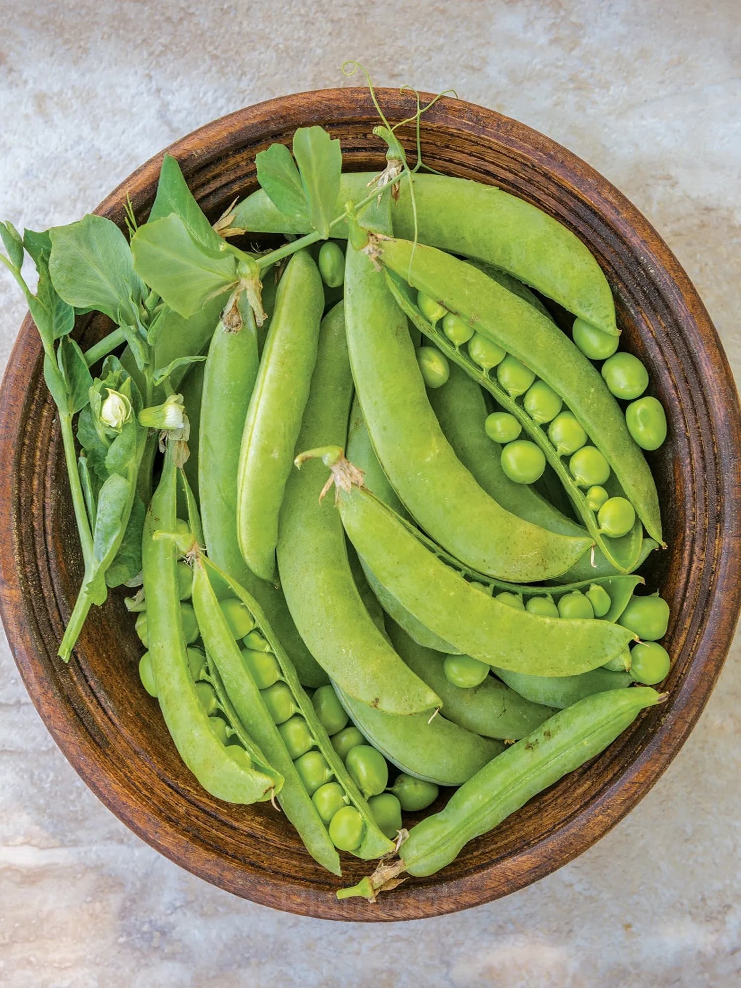 Pea-Licious Shell Pea - View 1