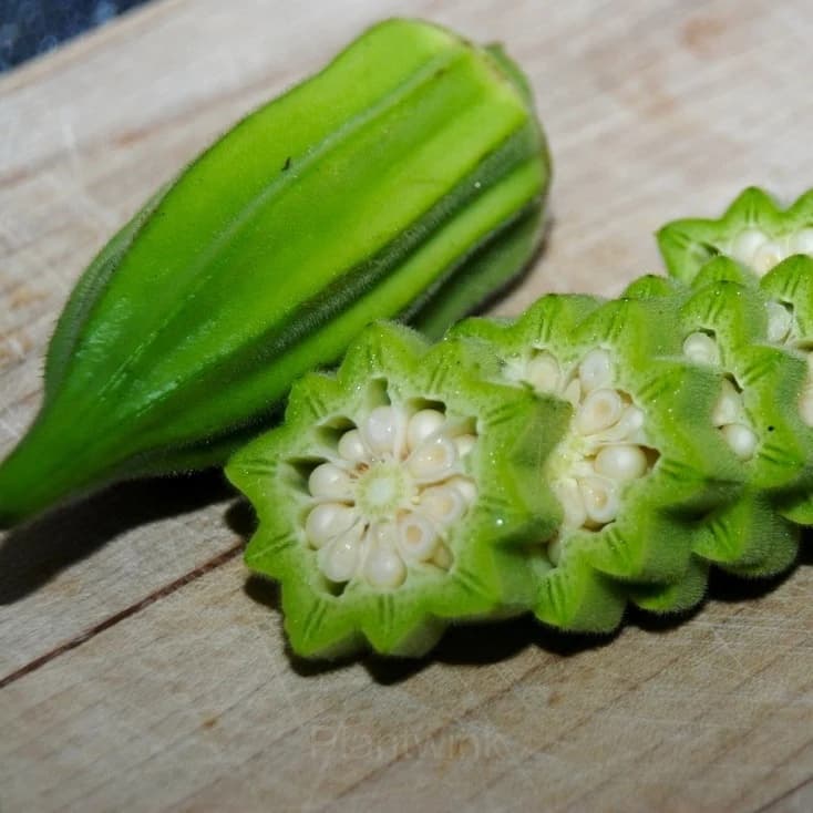 Okra Seed - View 1