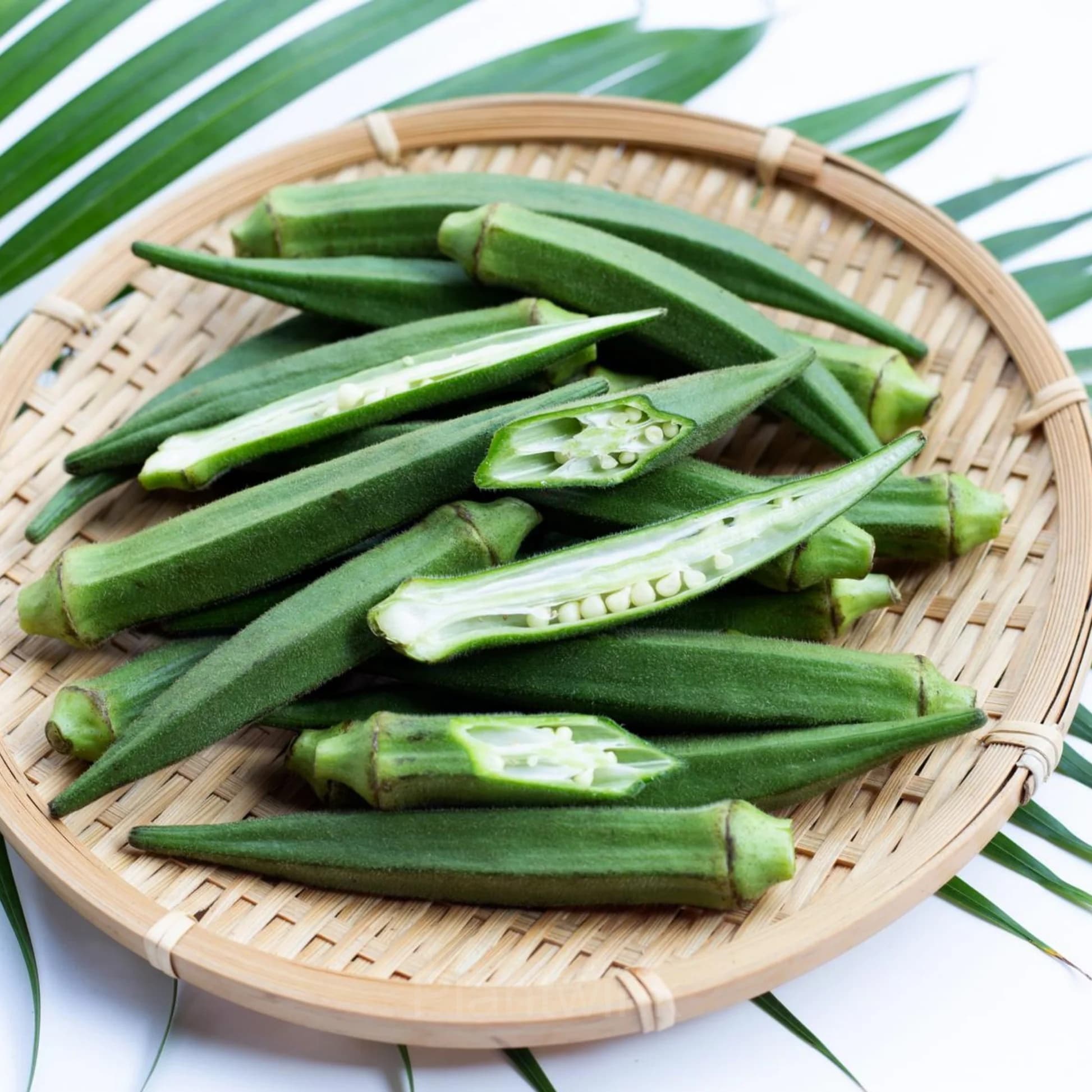 Okra Seed - View 4