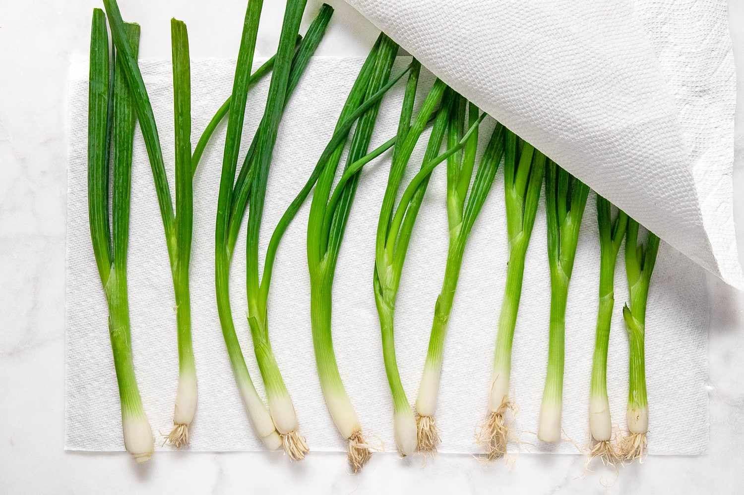 Green Onion Seed - View 3