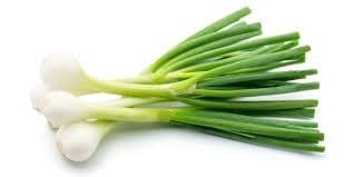 Green Onion Seed - View 4