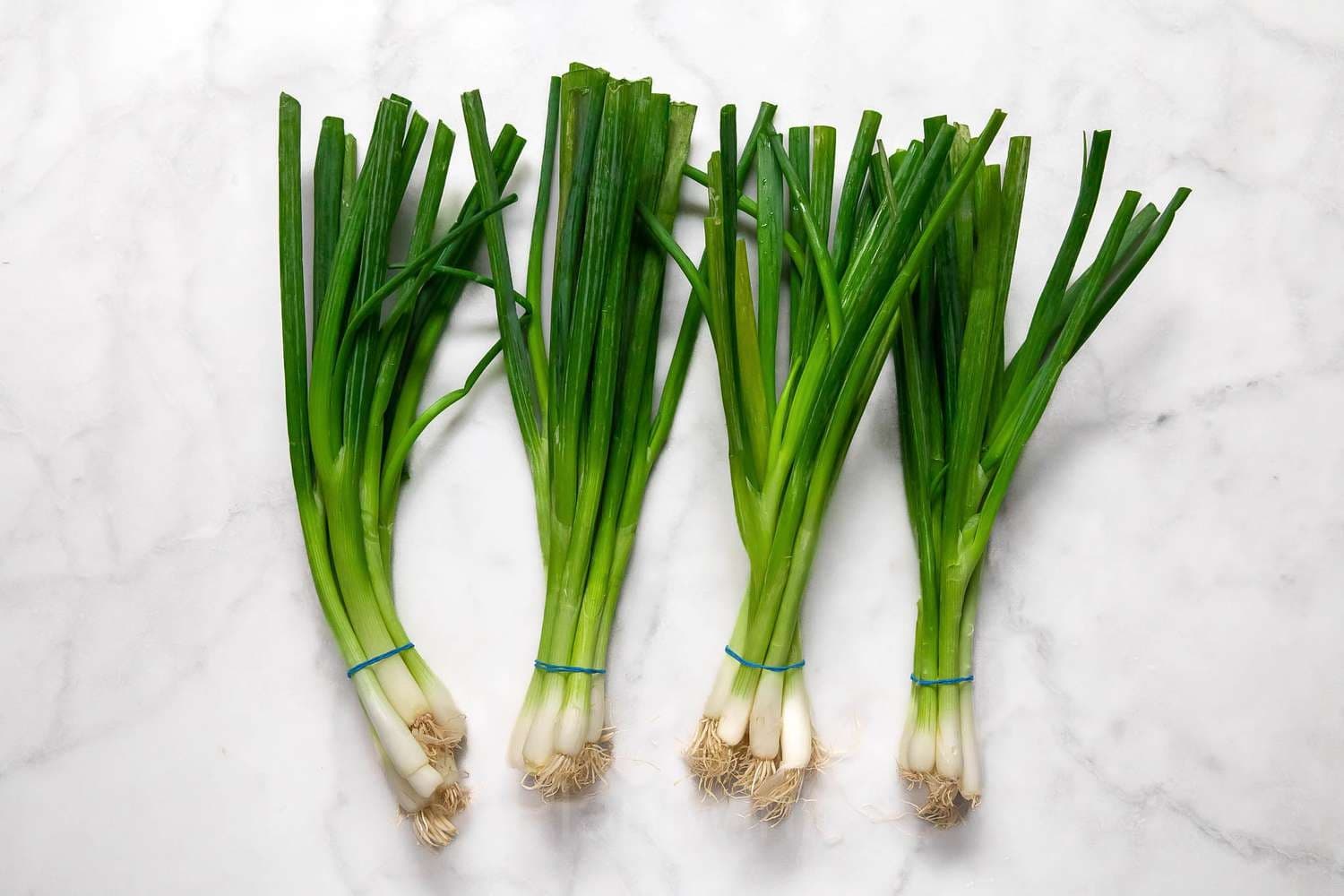 Green Onion Seed - View 1