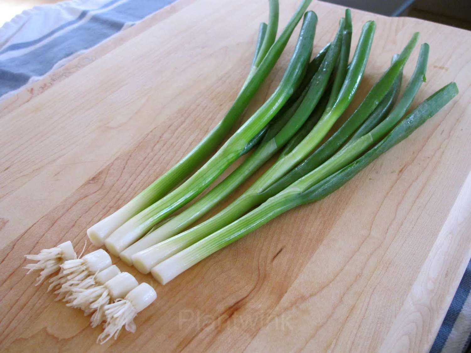 Green Onion Seed - View 5