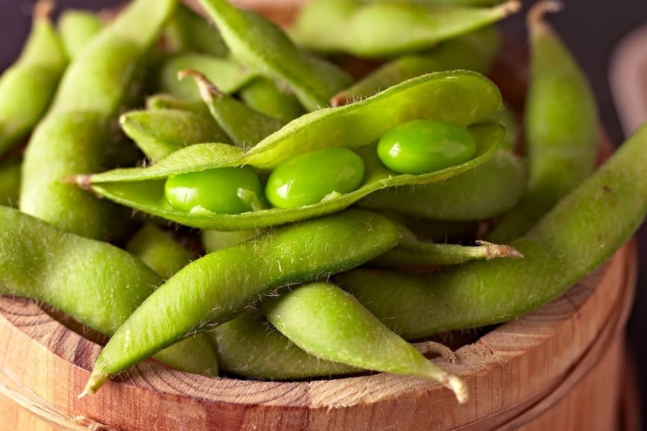 Edamame Soybean Seed - Main