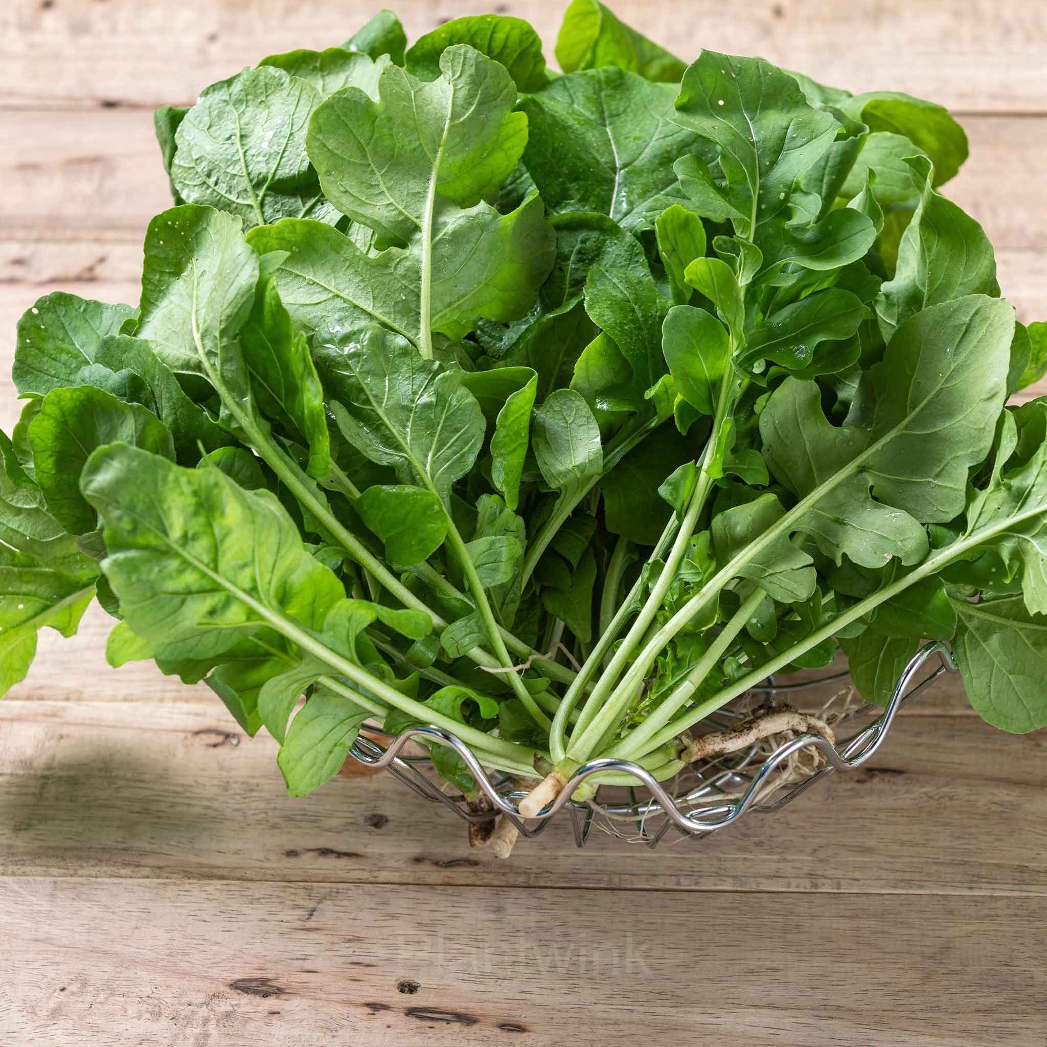 Organic Arugula Seed - View 1