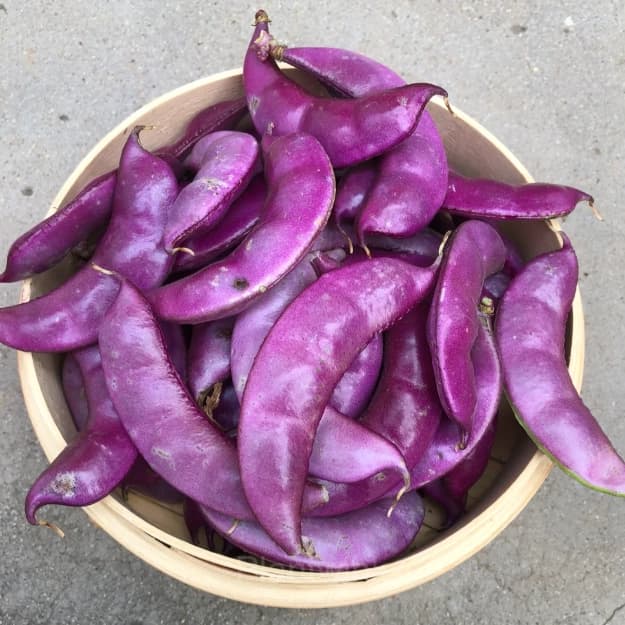 Purple Gem Lentil Seed - View 1