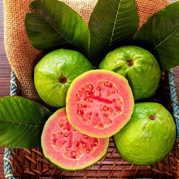 50 Tropical Strawberry Guava Organic Pink Guava Seeds - View 9