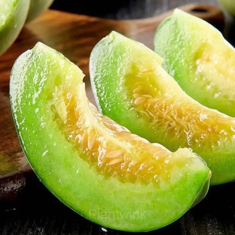 Emerald No. 2 Sweet Melon - View 5