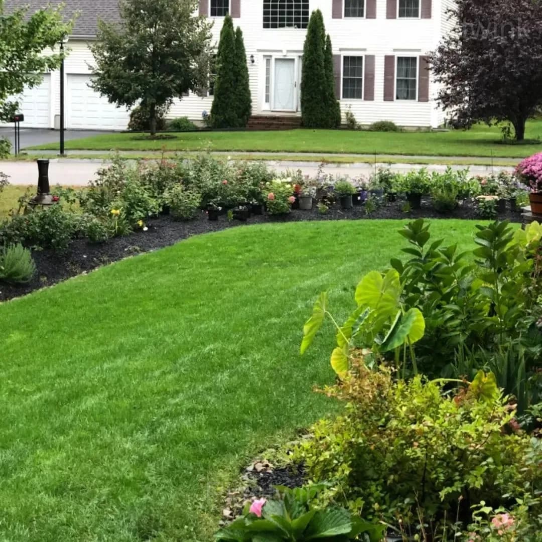 Evergreen Grass Seeds for All Seasons - View 3