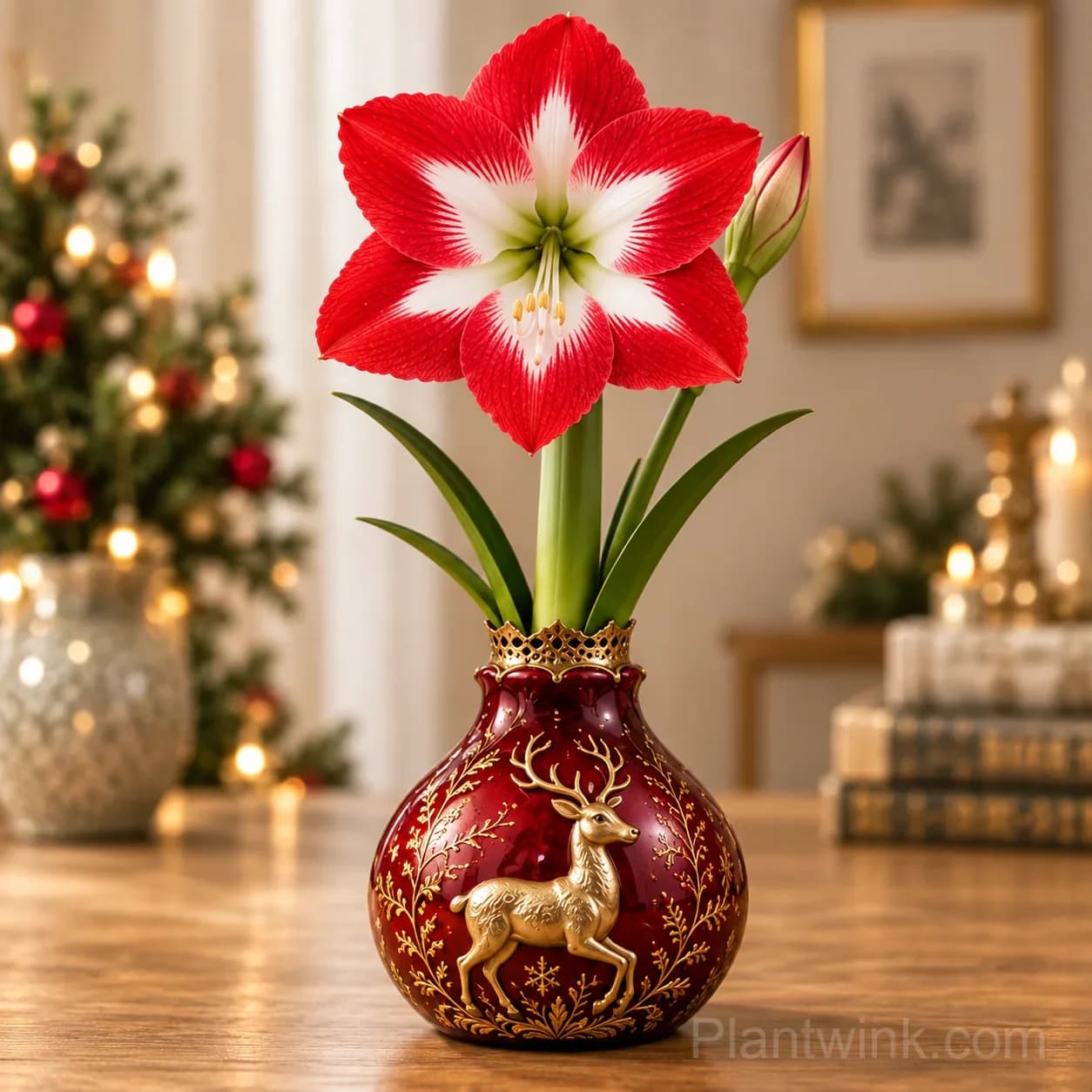 Holiday Waxed Amaryllis Bulbs – No Soil, No Water, Just Watch Them Bloom 🎄🌺 - View 3