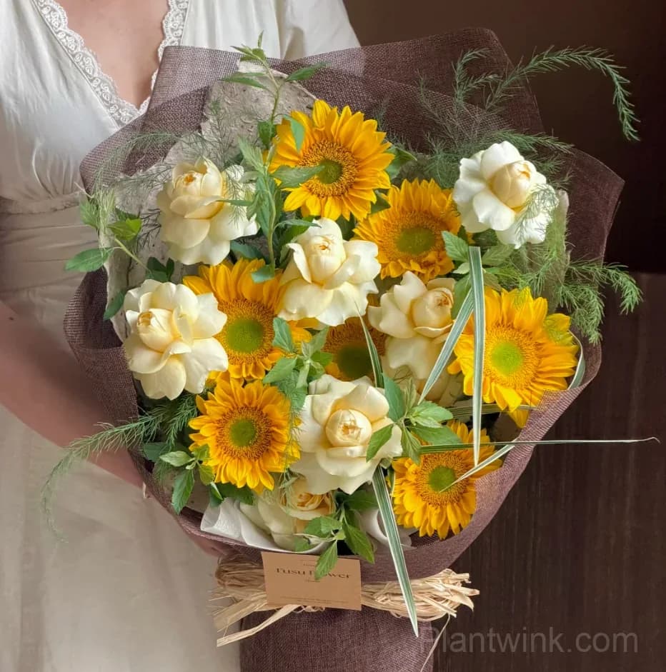 Green Center Sunflower Seeds – Unique Yellow Blooms, Easy to Grow & High Germination - Alt