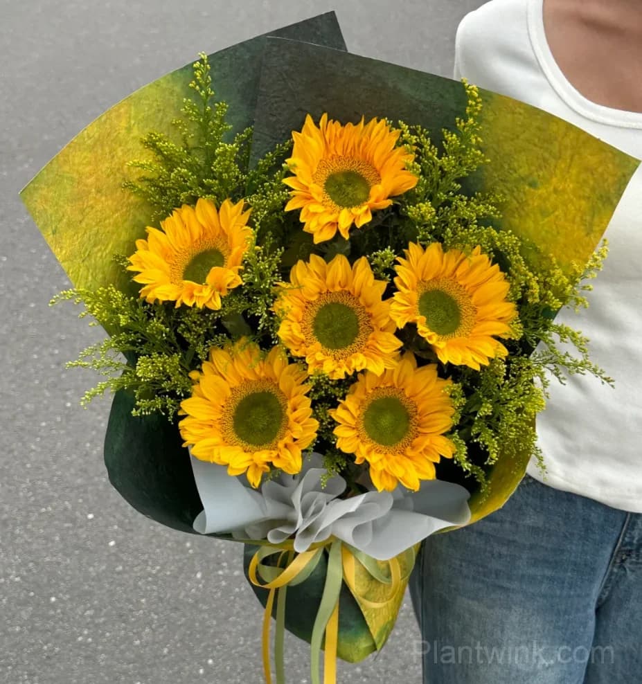 Green Center Sunflower Seeds – Unique Yellow Blooms, Easy to Grow & High Germination - View 6