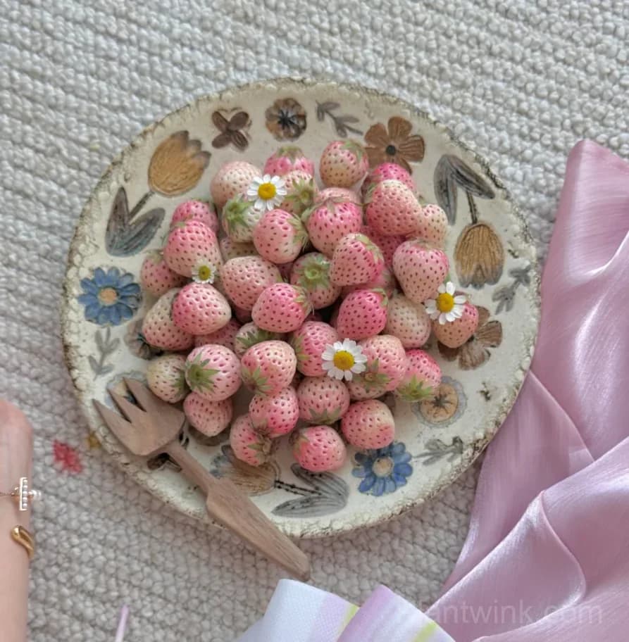 Mini Fenyu Pink Strawberry Seeds – Sweet Pink Strawberries for Home Garden & Easy Growing - View 3