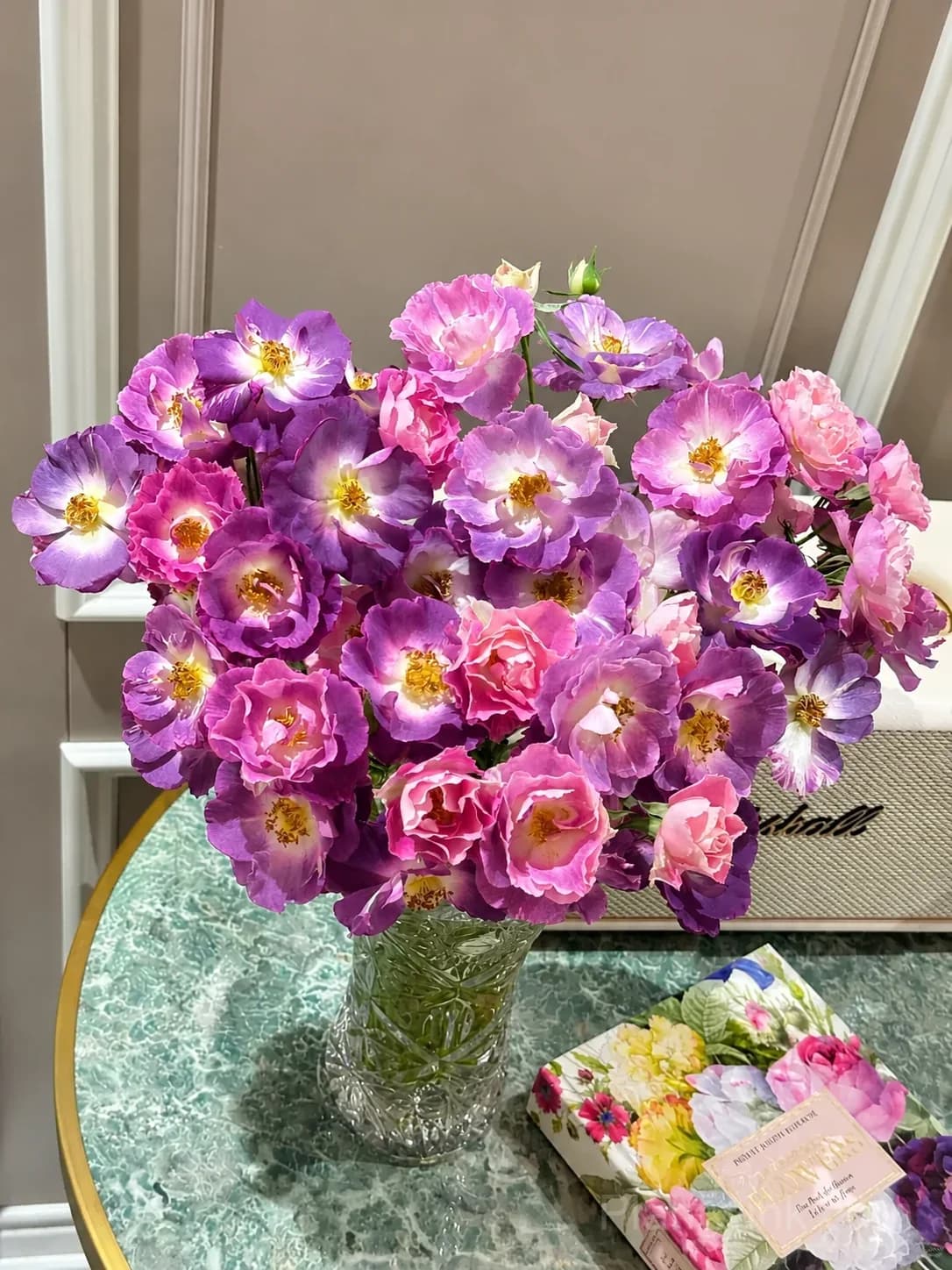 Blue Dream Rose Seeds – Beautiful Blue-Purple Blooms, Easy to Grow & Unique - Alt