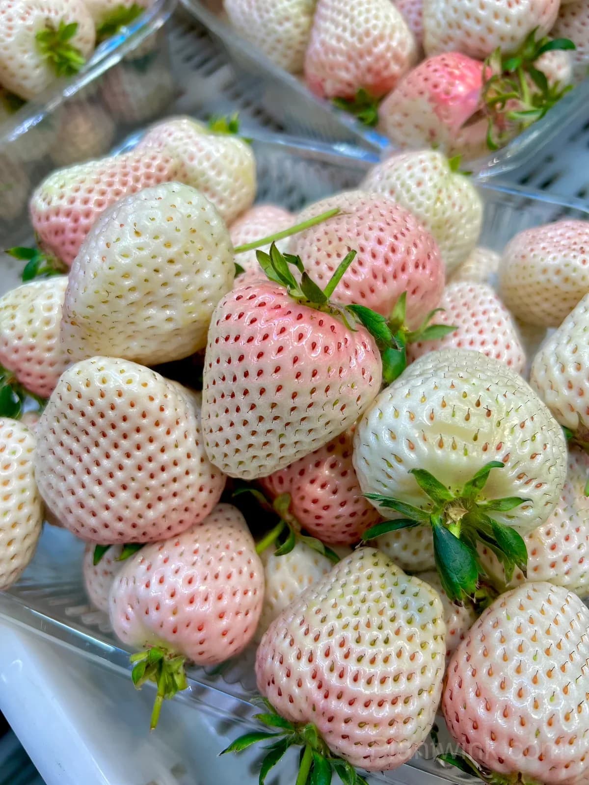 Japanese Awayuki White Strawberry Seeds – Sweet Strawberry Seeds for Home Garden - View 1