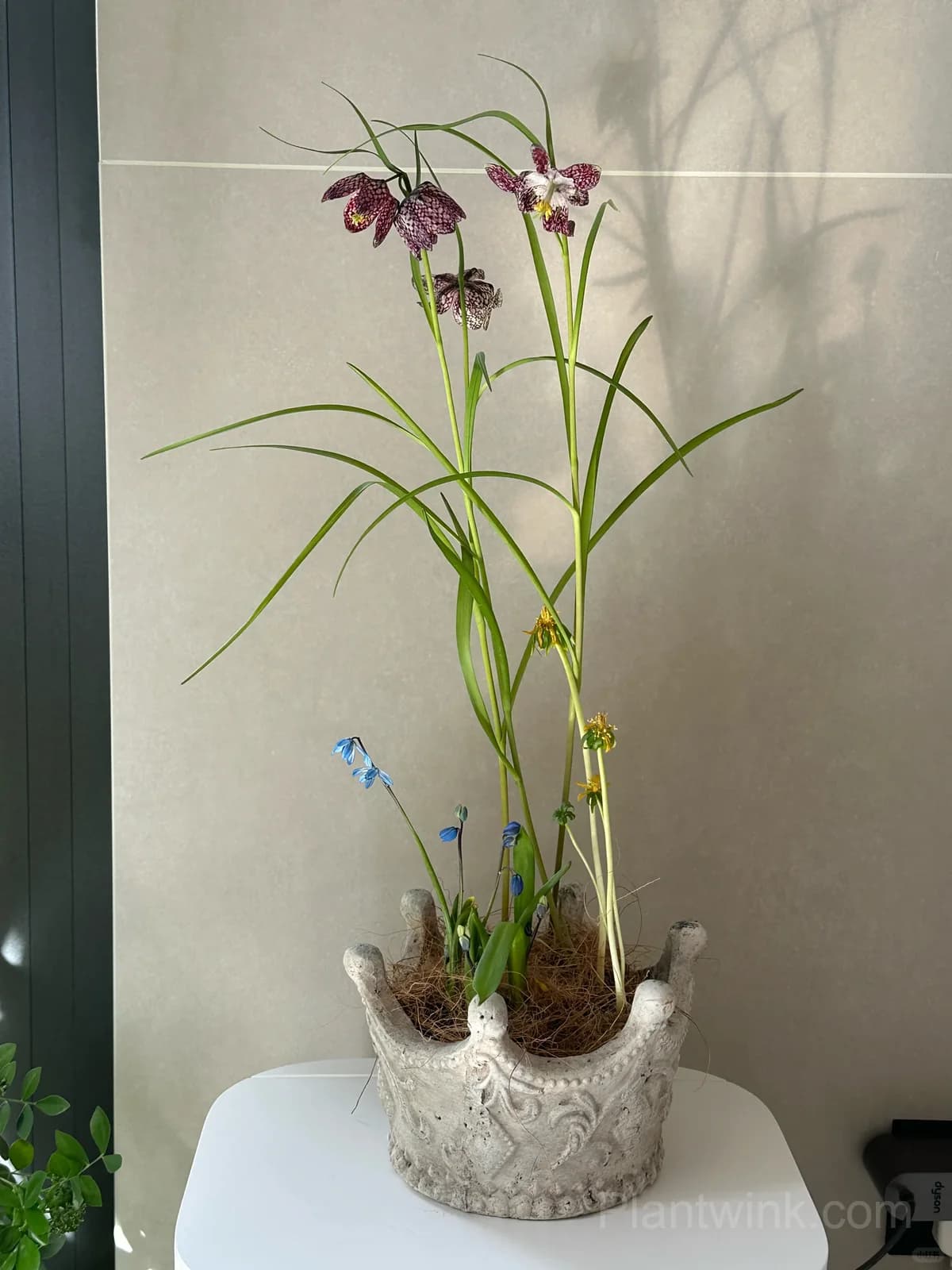 Wendy DeWell review image 1