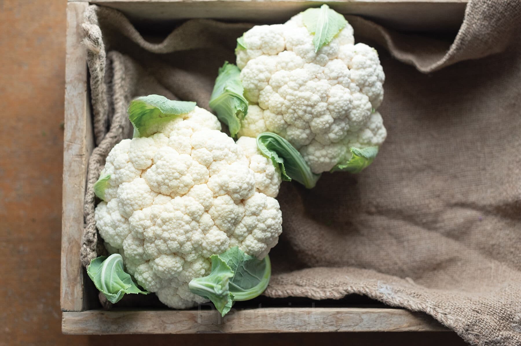 Cauliflower Seed - View 4