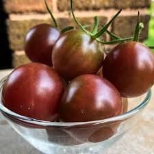 Chocolate Cherry Tomato Seed - View 2