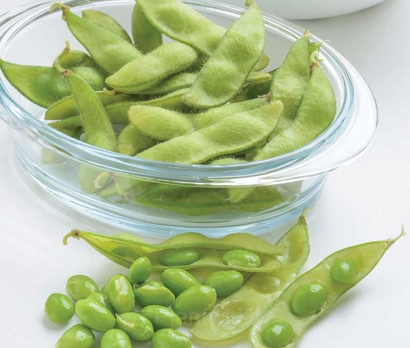 Edamame Soybean Seed - View 4
