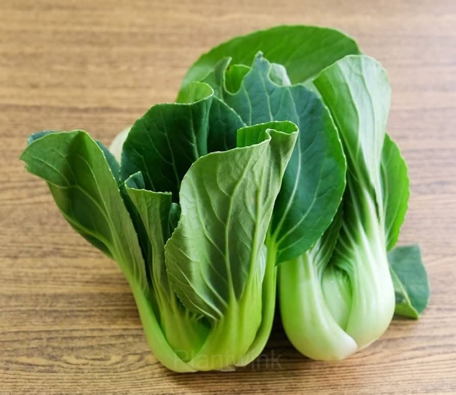 Toy Choy Bok Choi Seeds - View 1