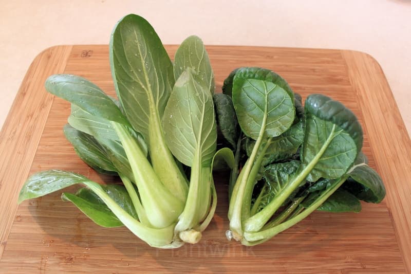 Toy Choy Bok Choi Seeds - View 3