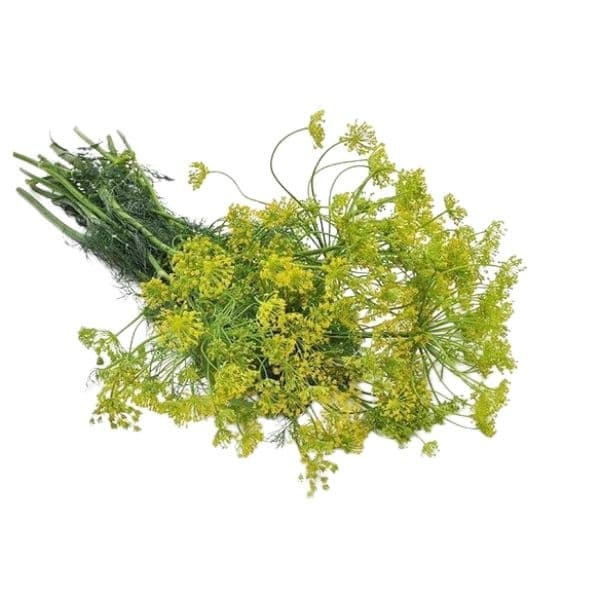 Dill Seed - View 3
