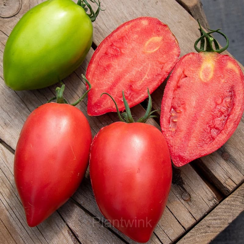 100 Mango Honey Tomato Seeds - View 2