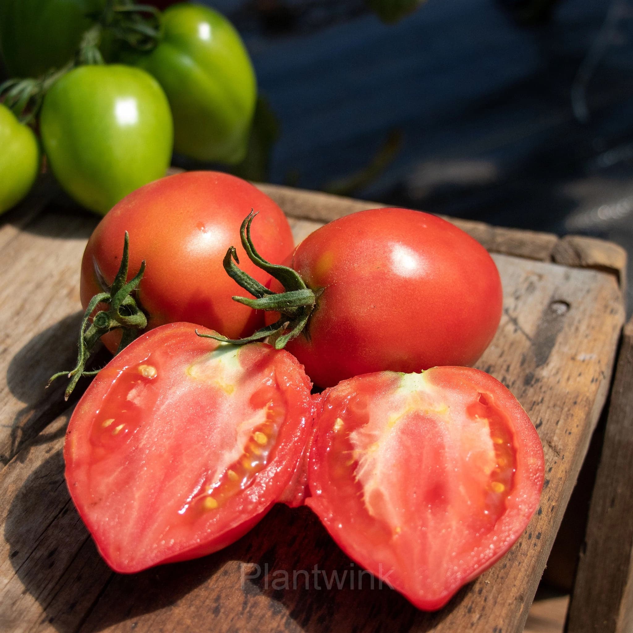 100 Mango Honey Tomato Seeds - View 8