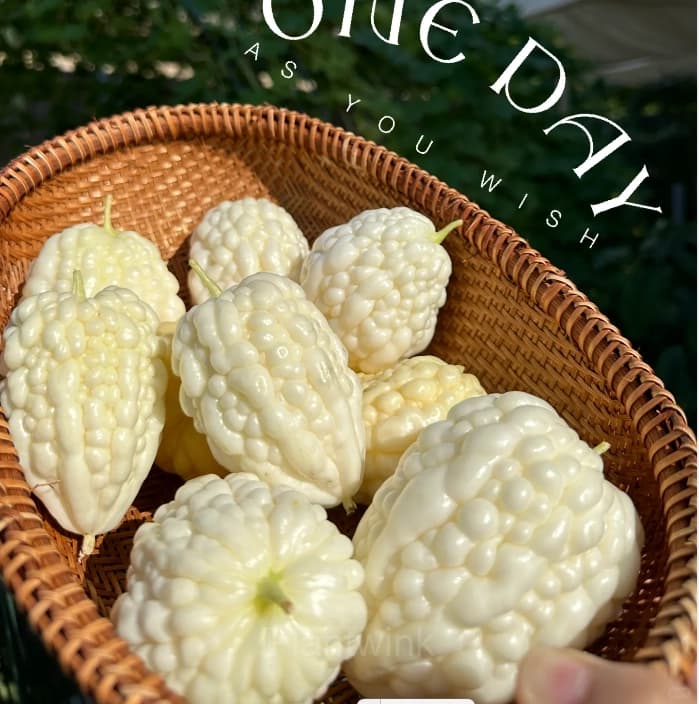 60 Apple Bitter Melon Seeds - View 4