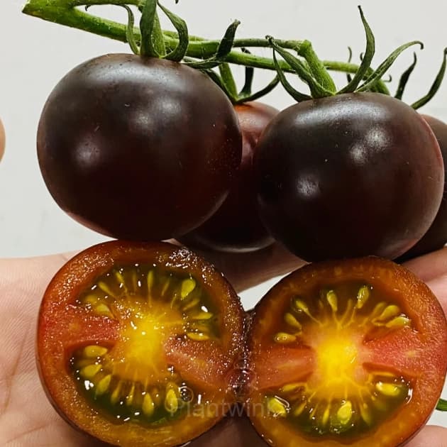 150 Rare Black Tomato Seeds - View 2