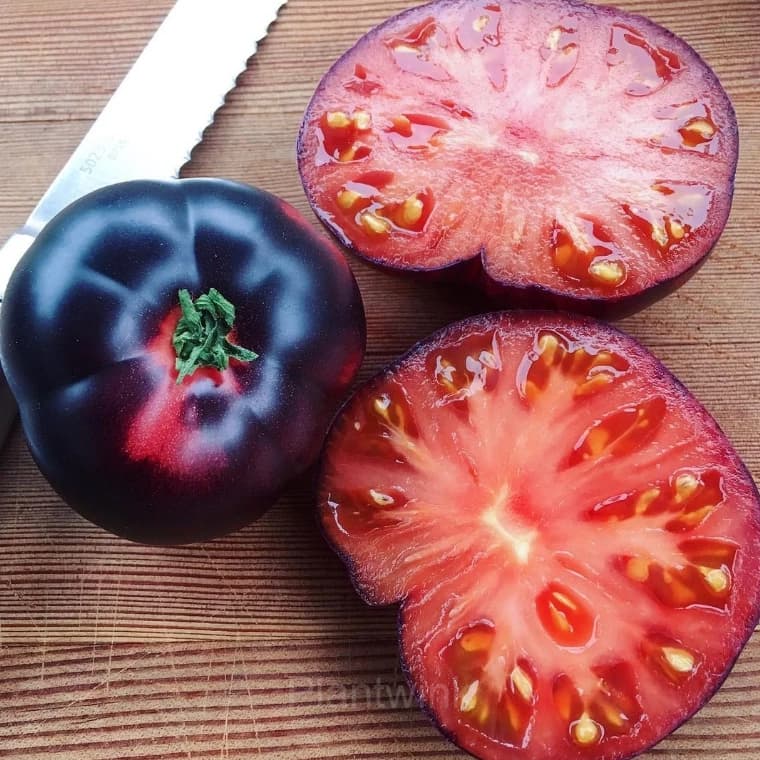 150 Rare Black Tomato Seeds - View 4