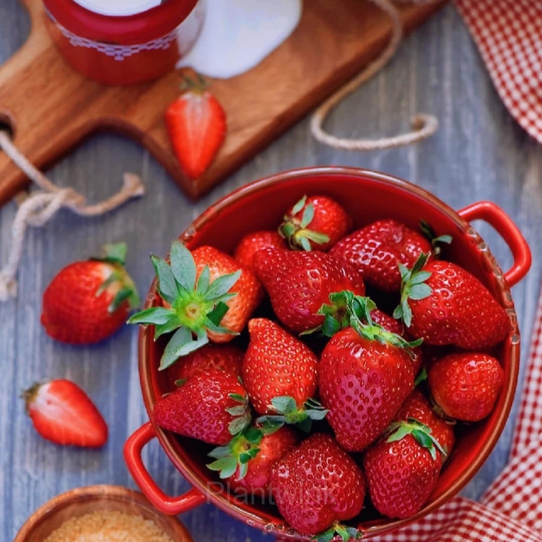 Four Seasons Cream Strawberry Seeds—Year-Round Harvest - View 2