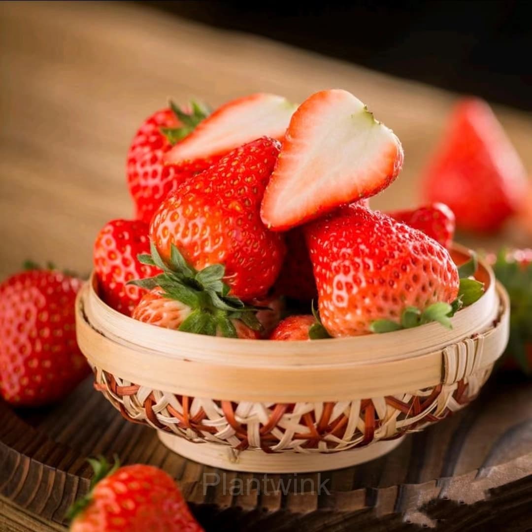 Four Seasons Cream Strawberry Seeds—Year-Round Harvest - View 4