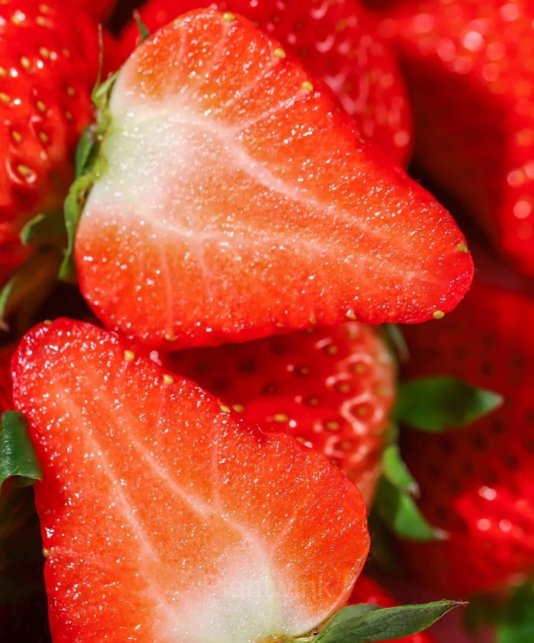 Four Seasons Cream Strawberry Seeds—Year-Round Harvest - View 8