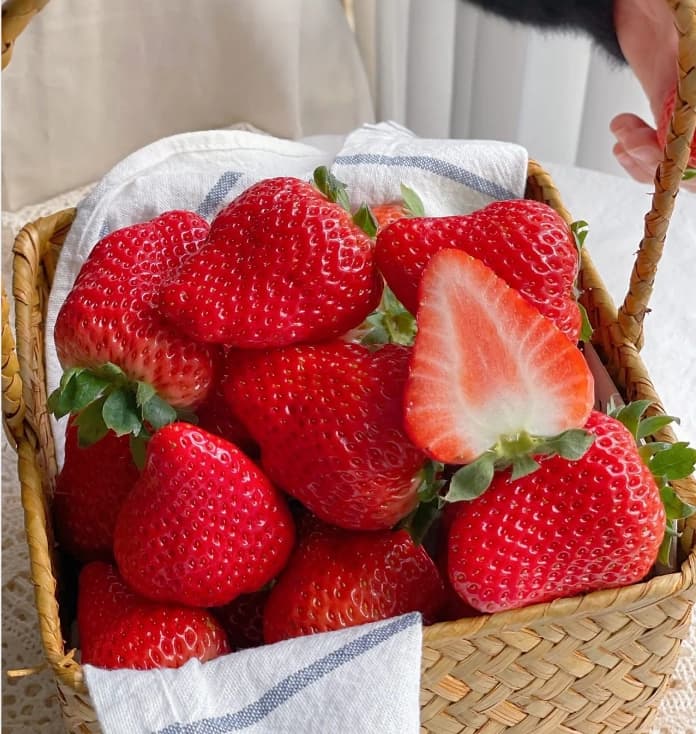 Four Seasons Cream Strawberry Seeds—Year-Round Harvest - View 9