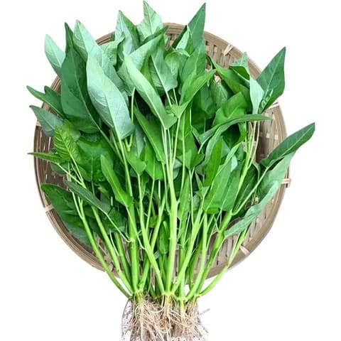 Triple-Stem Water Spinach Seeds - View 3