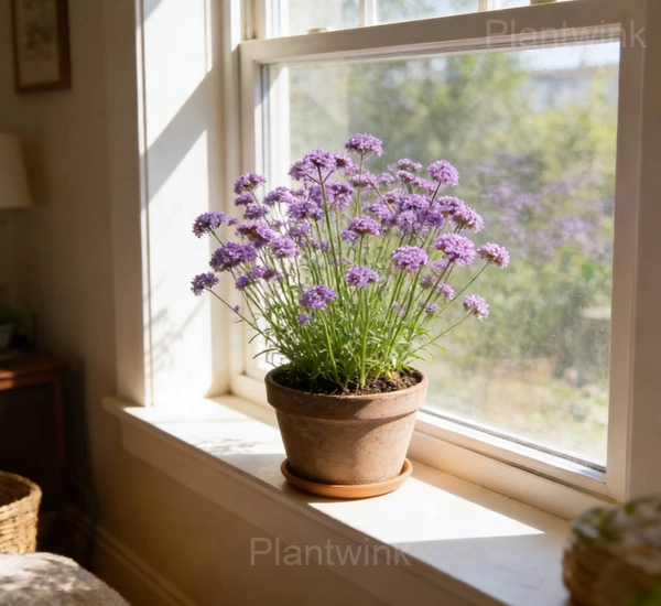 Review Image by Mekhi