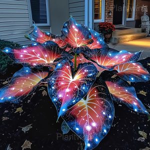 Starry Sky Colored Leaf Caladium Seeds - 37🟥🟦, 200 Seeds💗