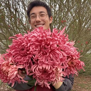 Colorful Chrysanthemum Seeds - 2🟥, 500 Seeds💗