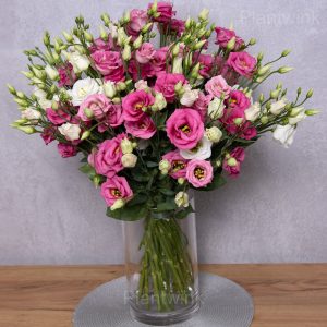 Elegant Lisianthus Seeds - 22💗⬜, 100 Seeds💕🔥