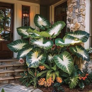 Decorative Leaf Caladium Seeds - 34🟩⬜, 50 Seeds👍