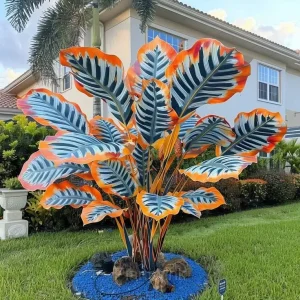 Colorful Caladium Bulbs - 11🦓, 5 Bulbs🎁